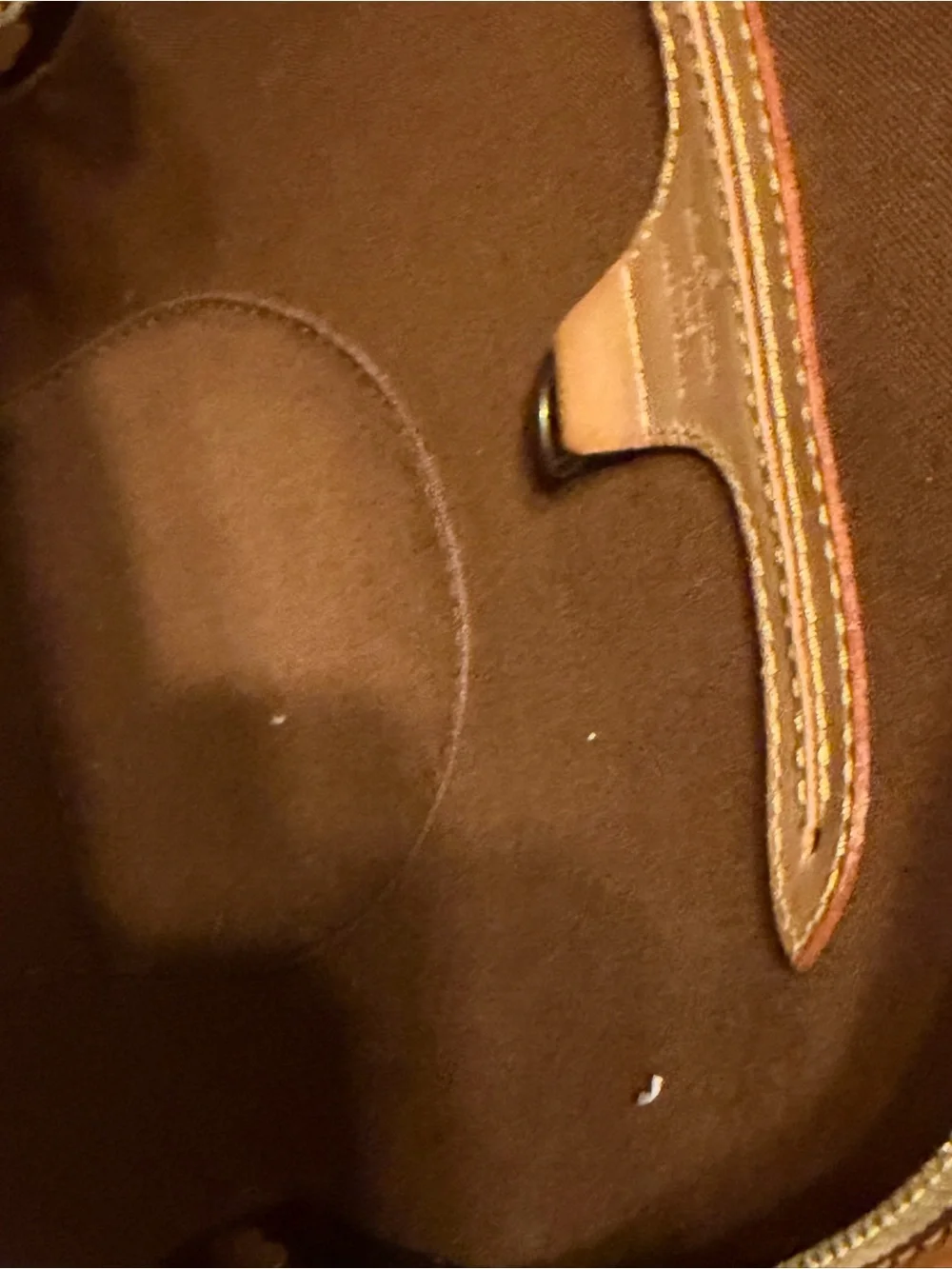 Louis Vuitton iconic louis